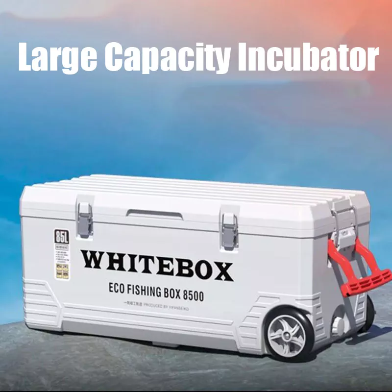 갈치 아이스박스 3