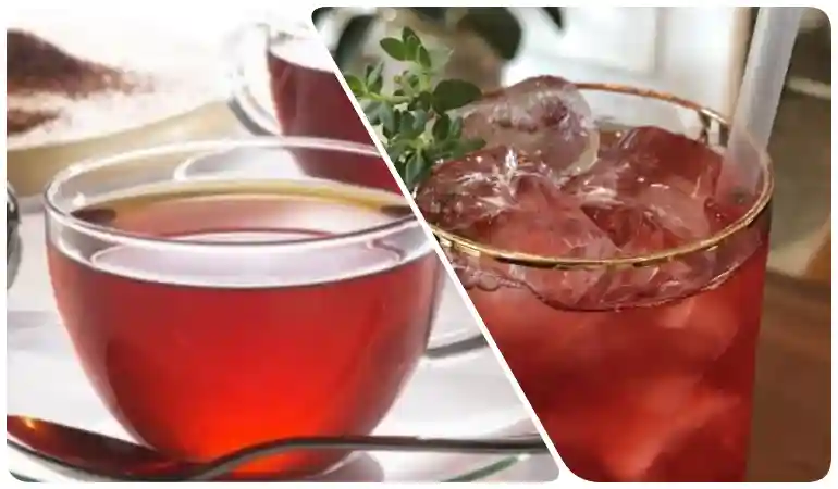 따듯한 루이보스티와 아이스 루이보스티