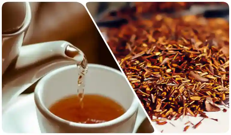 루이보스 찻잎과 차를 우려내어 따르는 모습