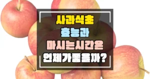 사과식초 효능과 마시는 시간 썸네일