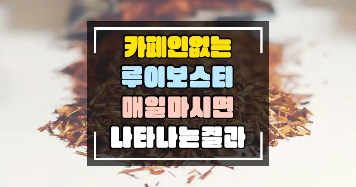 카페인 없는 루이보스티 매일 마시면 나타나는 결과 썸네일